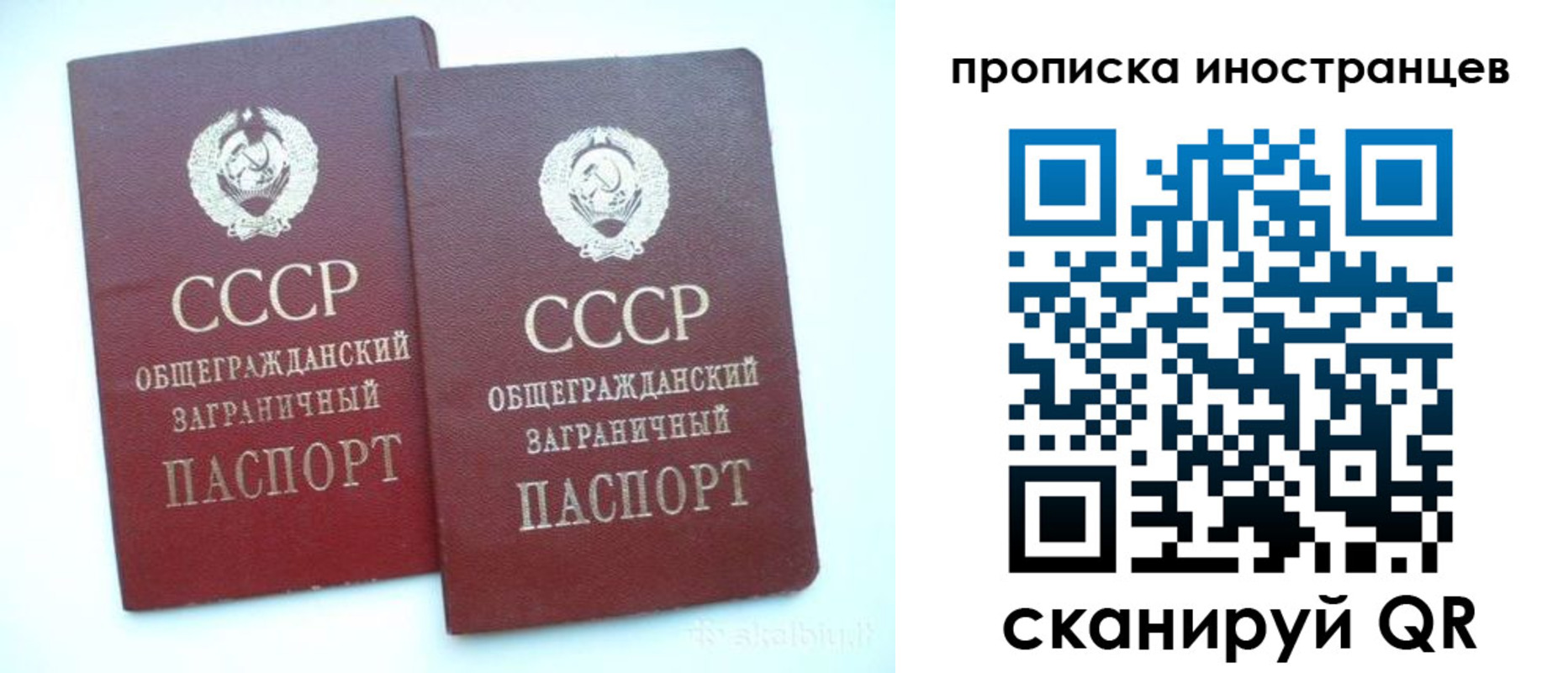 временная регистрация госуслуги в Курганской области